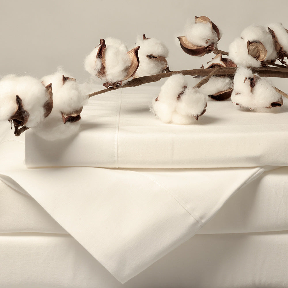 white bed sheets